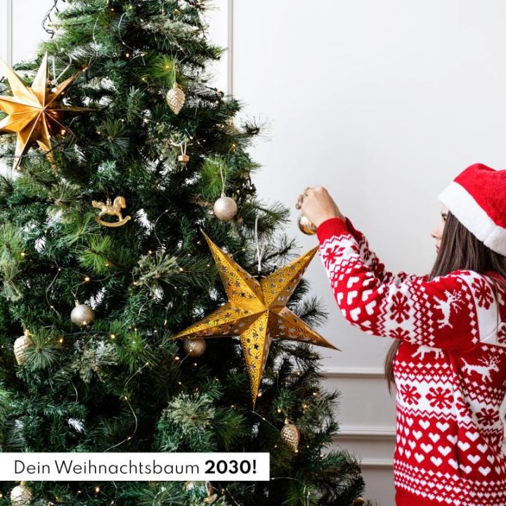 Nordmann Kerstboomkweekset als vulling voor adventskalender, mini-cadeau als idee voor de adventskalender voor vrouwen en mannen, Nordmann-dennenboom om zelf te planten